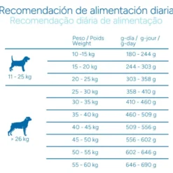 Criadores Científico Sensitive Adulto Medium-Maxi Ração de salmão para cães