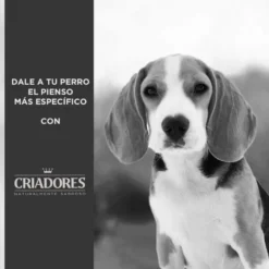 Criadores Dietetic Obesity Adulto ração para cães