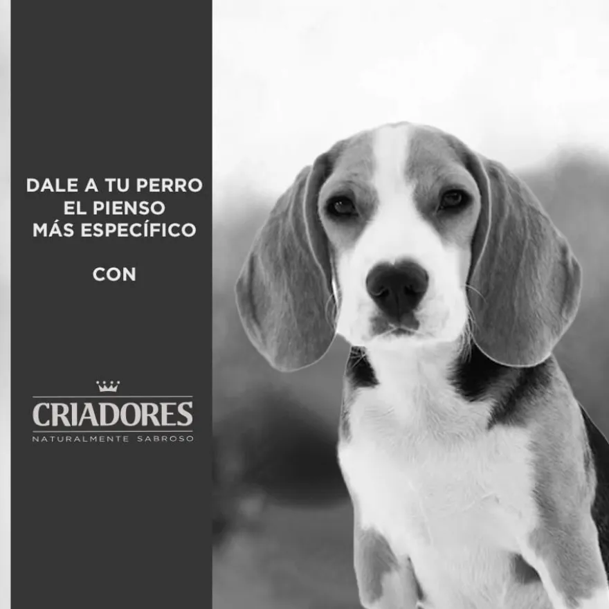 Criadores Dietetic Obesity Adulto ração para cães