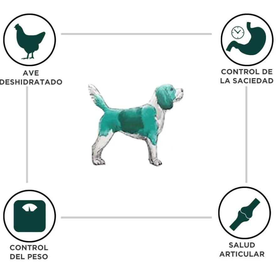 Criadores Dietetic Obesity Adulto ração para cães