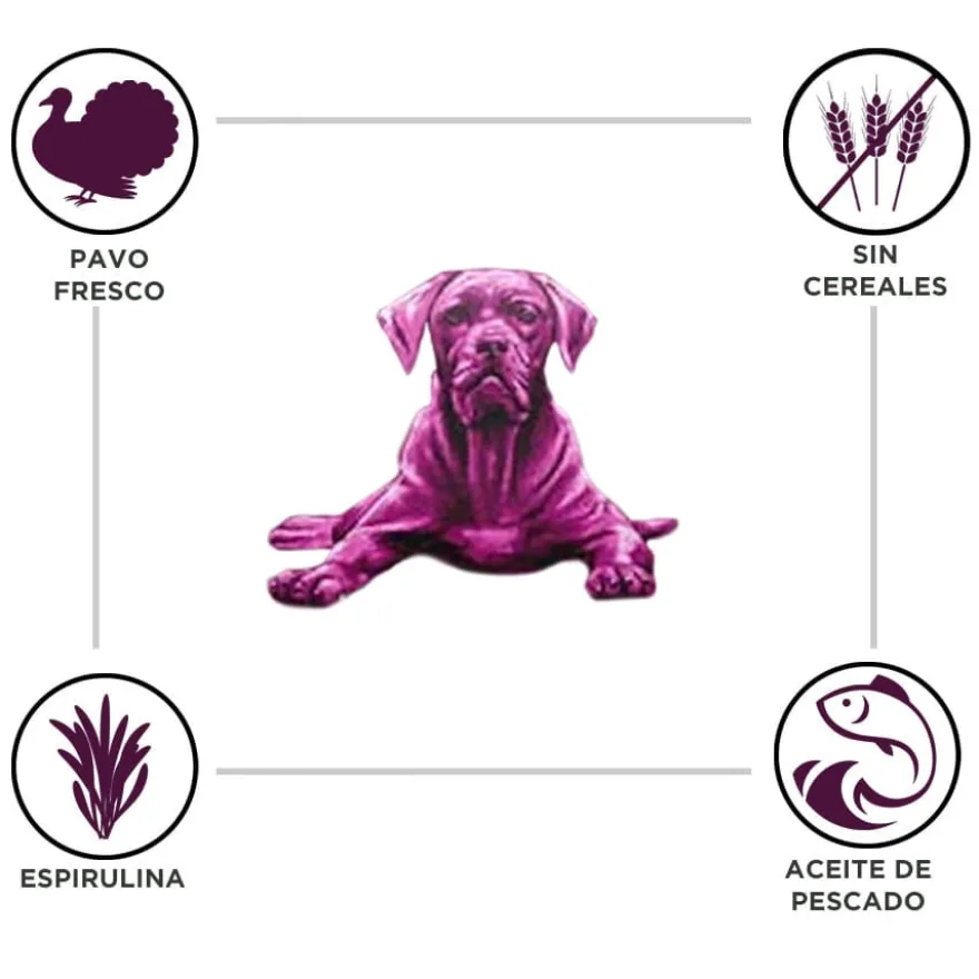 Criadores Grain Free Peru ração cães raças médias e grandes
