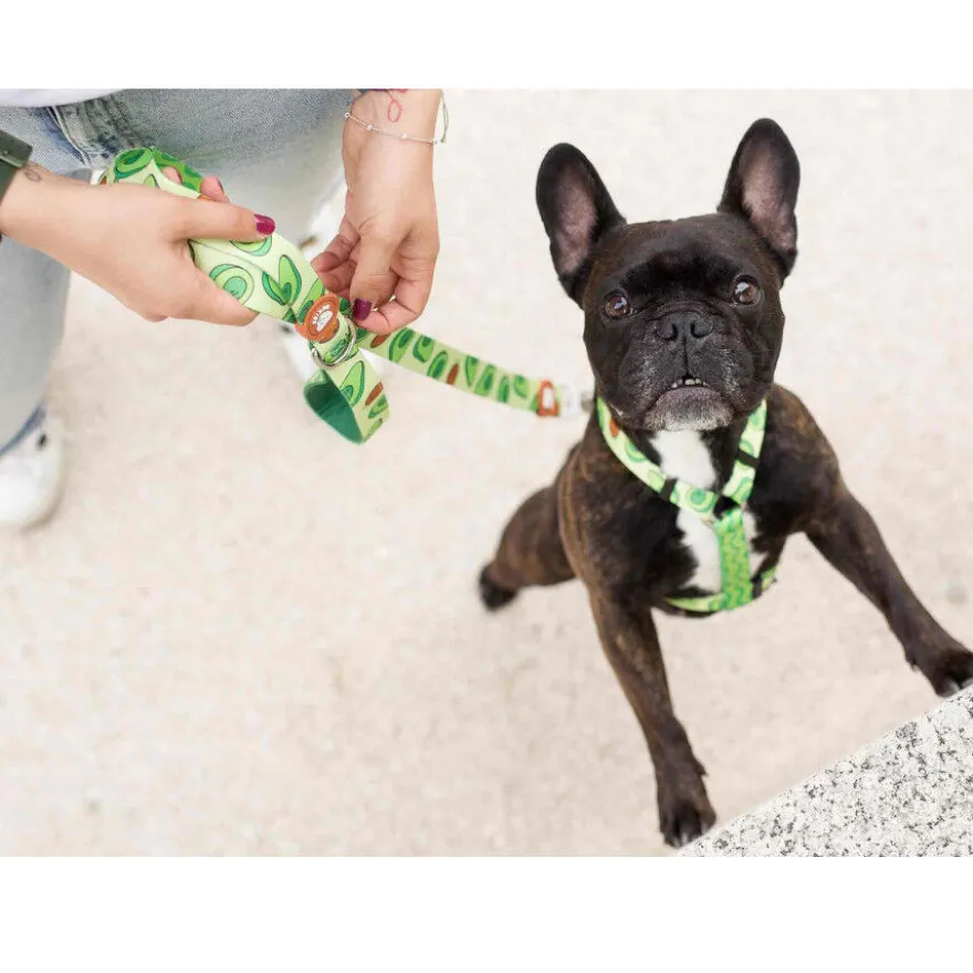 Dukier Avocado Clássico Peitoral com Estampado de Abacate para cães