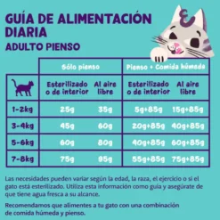 Edgard & Cooper Adult Salmão ração para gatos