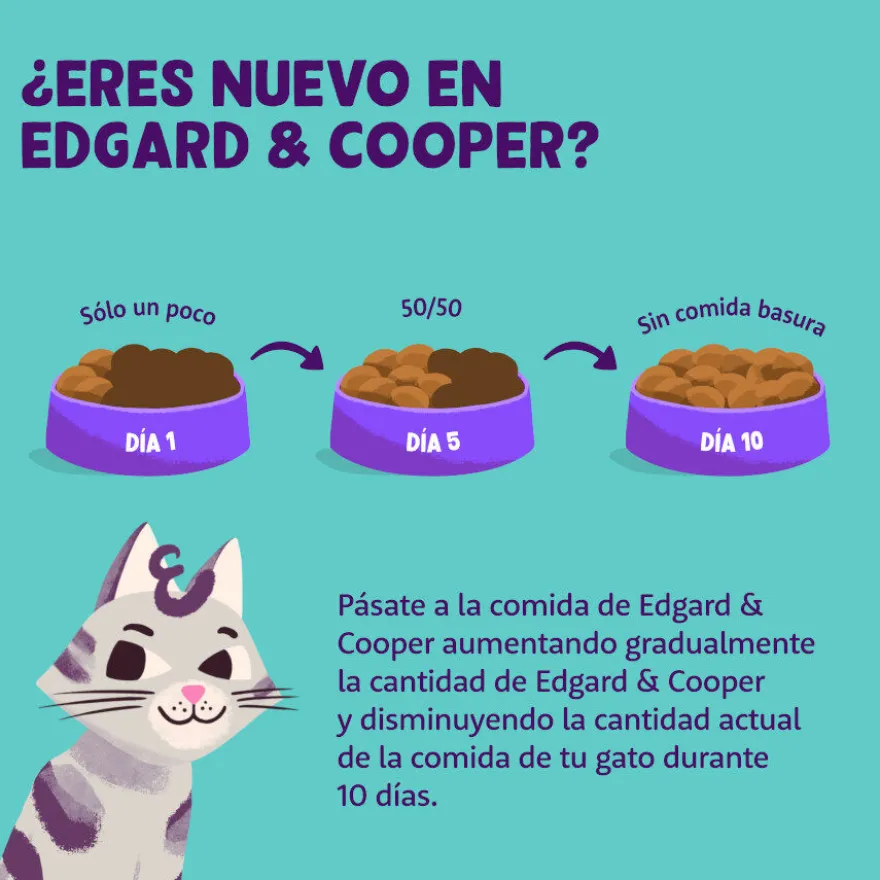 Edgard & Cooper Kitten Pato e Frango ração