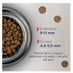 Eukanuba Adult frango ração para gatos