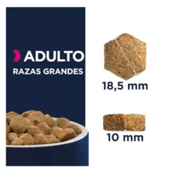 Eukanuba Adult Large Breed Frango ração para cães