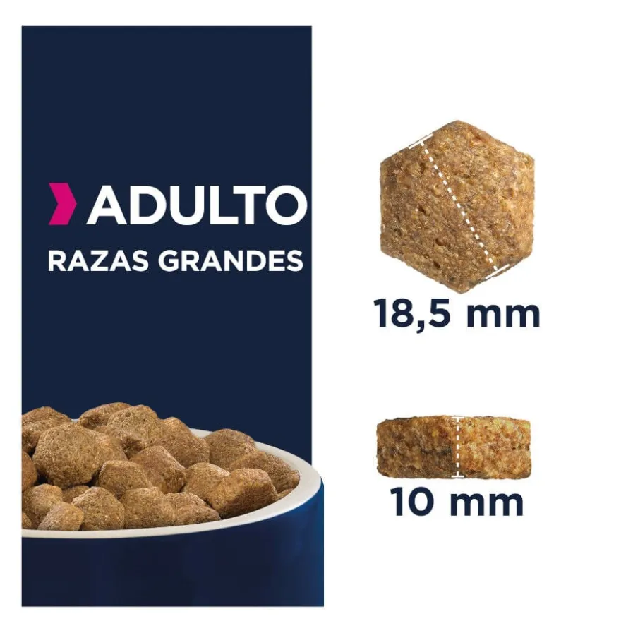 Eukanuba Adult Large Breed Frango ração para cães