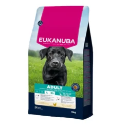 Eukanuba Adult Large Breed Frango ração para cães