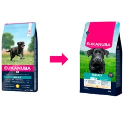 Eukanuba Adult Large Breed Frango ração para cães