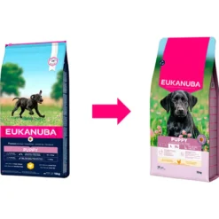 Eukanuba Puppy Large Breed Ração de frango para cães