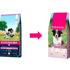 Eukanuba Puppy Medium Ração de frango para cães
