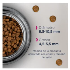 Eukanuba Senior Frango ração para gatos
