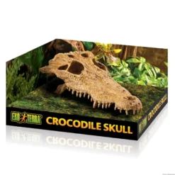Exo Terra Crânio de crocodilo Decoração para terrários