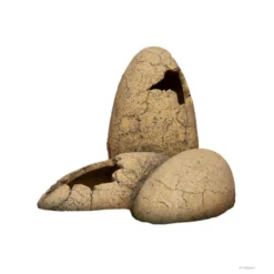 Exo Terra Ovos de dinossauro Gruta para répteis