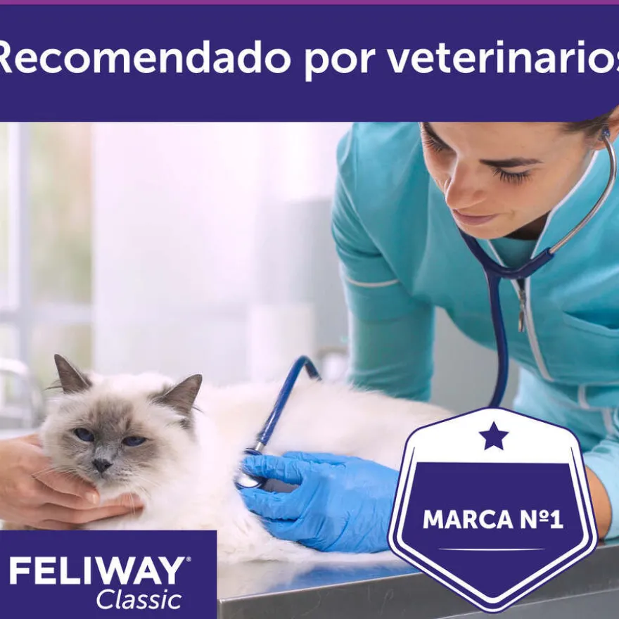 Feliway Spray com feromonas tranquilizantes para gatos