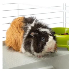 Ferplast Casita para coelhos e cobaias
