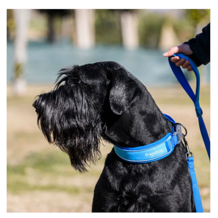 Freedog Cool Pro Tech Coleira Azul para cães