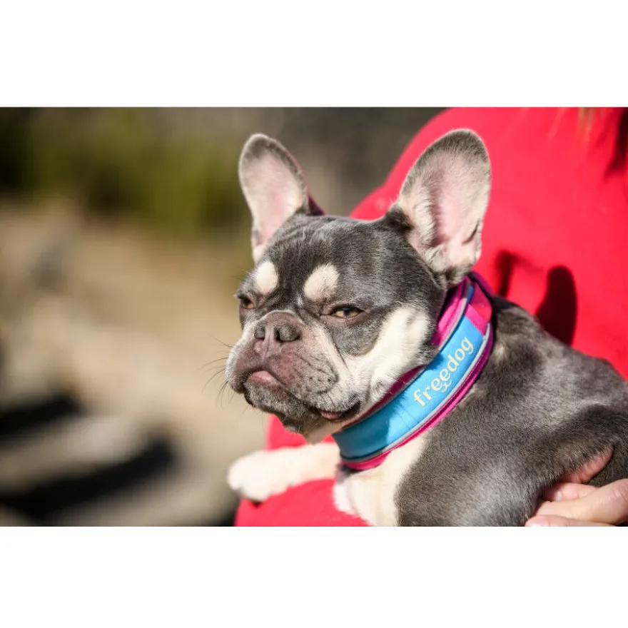 Freedog Cool Pro Tech Coleira Desportiva Fúscia para cães