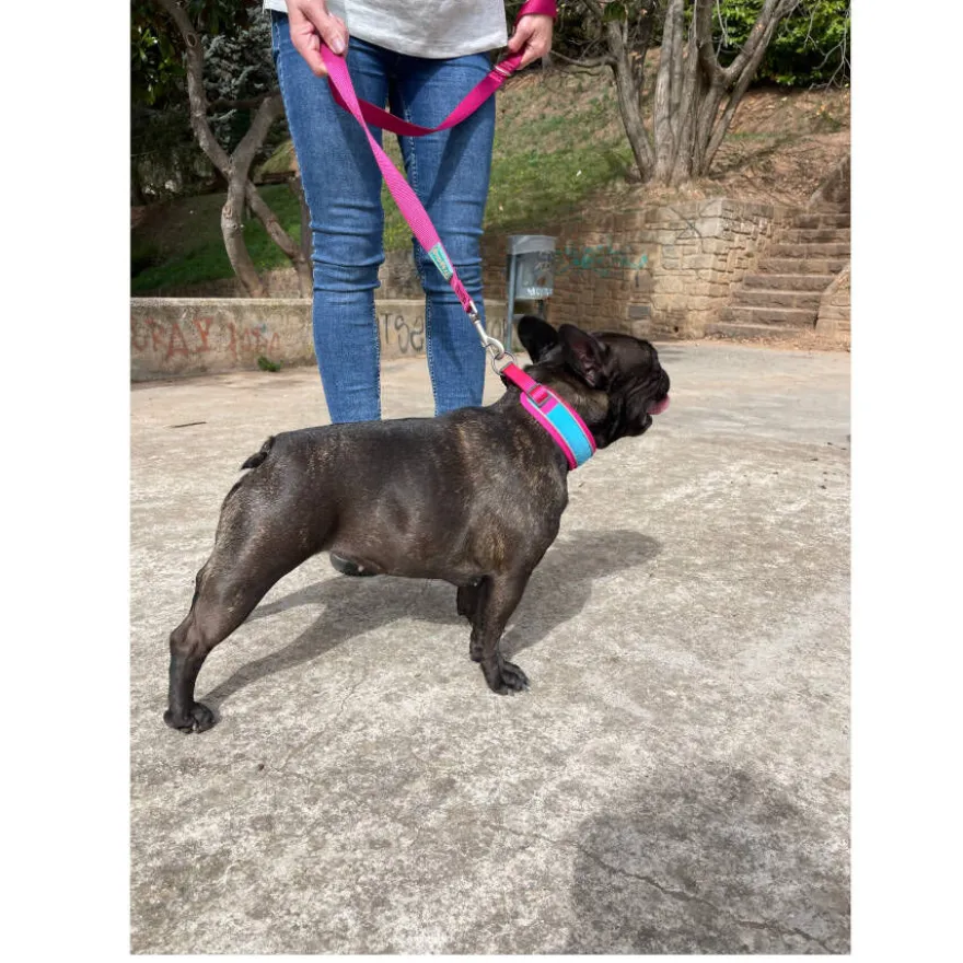 Freedog Cool Pro Tech Trela Desportiva Fúscia para cães