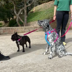 Freedog Cool Pro Tech Trela Desportiva Fúscia para cães