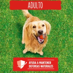 Friskies Adult Carne e Legumes ração para cães