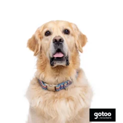 Gotoo Coleira estampada colorida para cães
