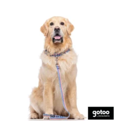 Gotoo Coleira estampada colorida para cães