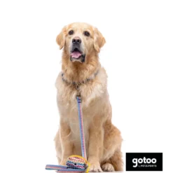 Gotoo Coleira estampada colorida para cães