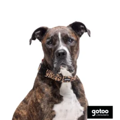 Gotoo Coleira estampada leopardo castanha para cães