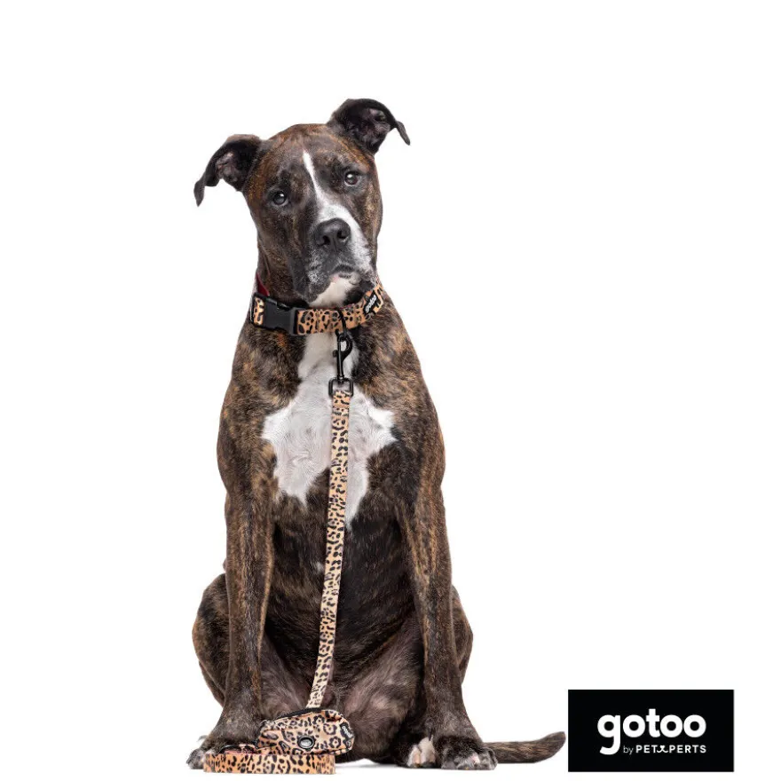 Gotoo Coleira estampada leopardo castanha para cães
