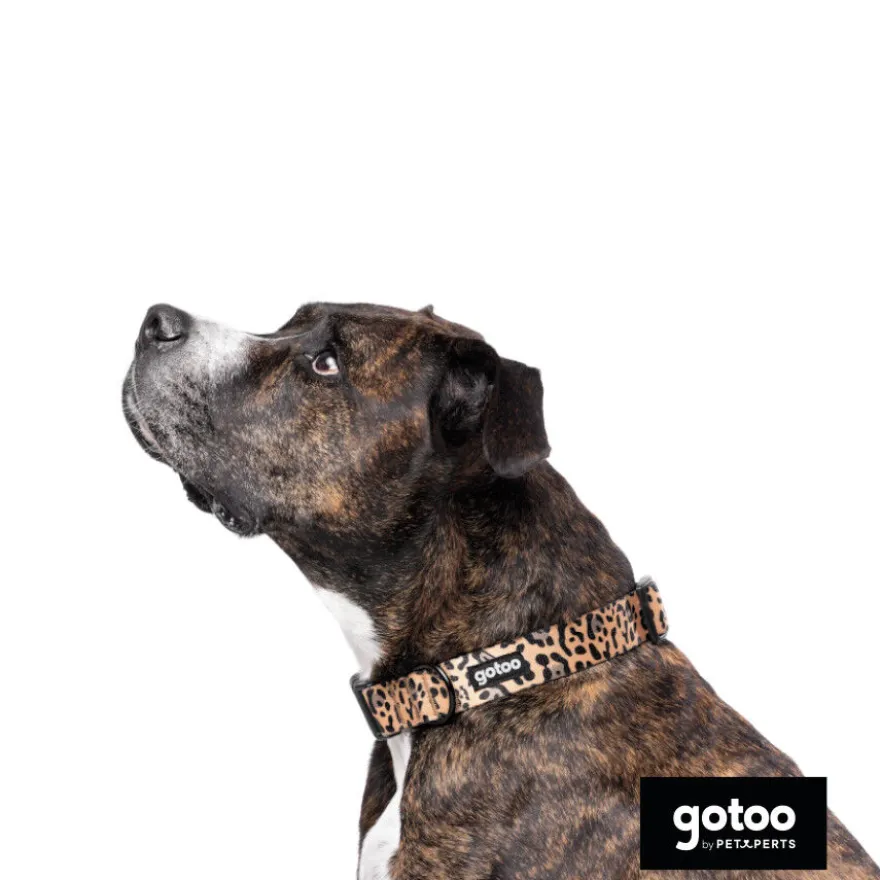 Gotoo Coleira estampada leopardo castanha para cães