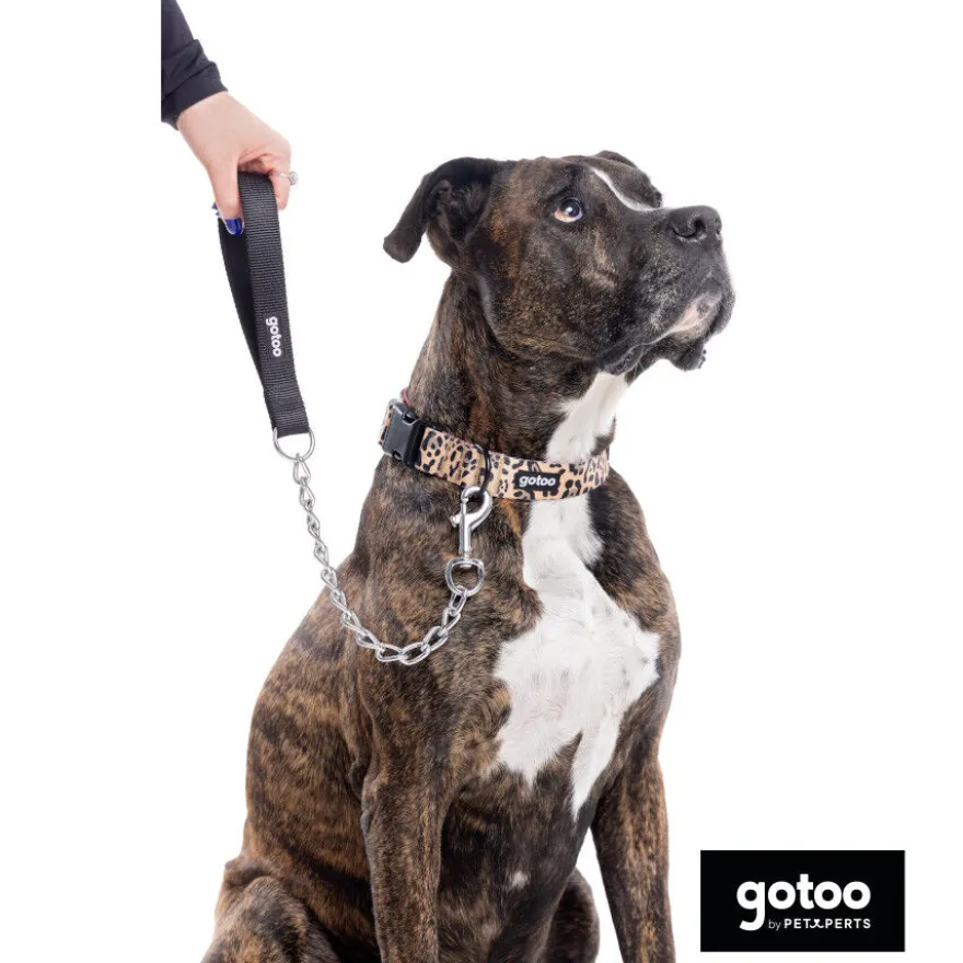 Gotoo Coleira estampada leopardo castanha para cães