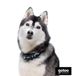 Gotoo Coleira estampada verde para cães