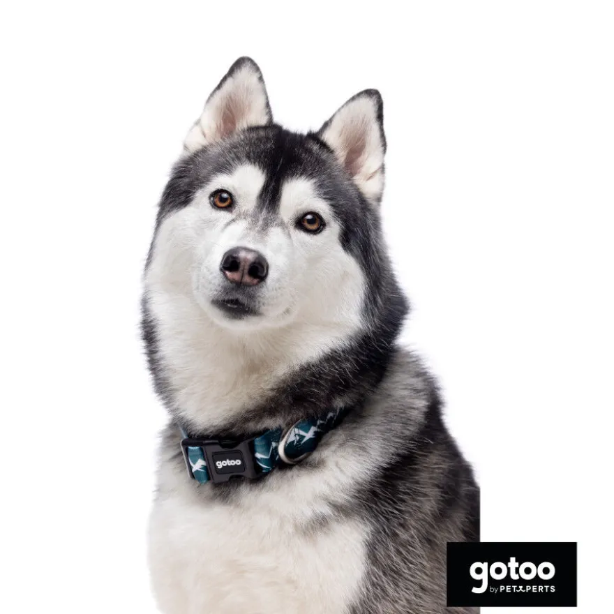 Gotoo Coleira estampada verde para cães
