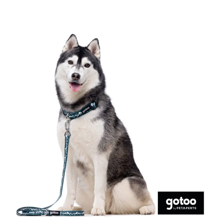 Gotoo Coleira estampada verde para cães