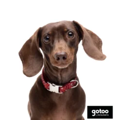 Gotoo Coleira estampada vermelha para cães