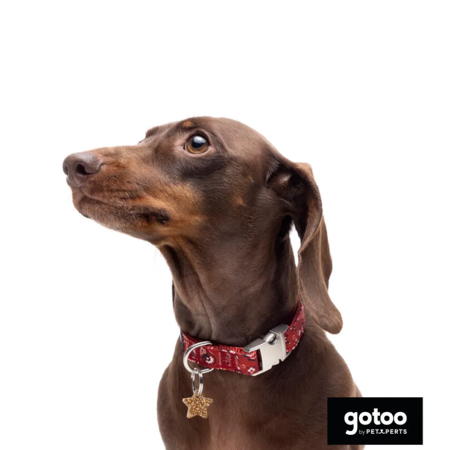 Gotoo Coleira estampada vermelha para cães