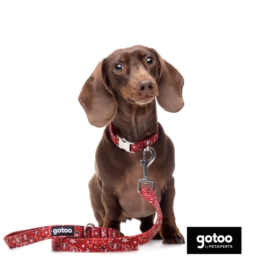 Gotoo Coleira estampada vermelha para cães
