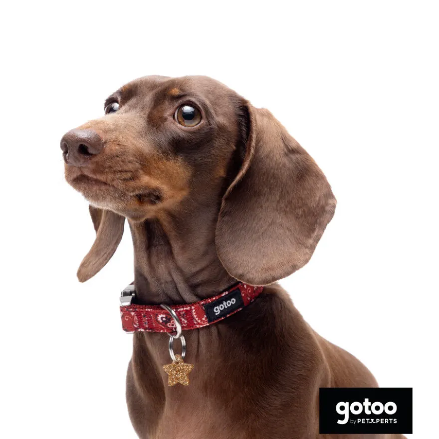 Gotoo Coleira estampada vermelha para cães