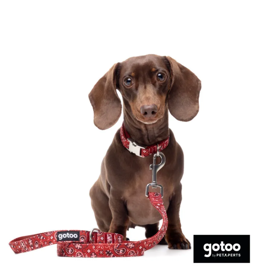 Gotoo Coleira estampada vermelha para cães