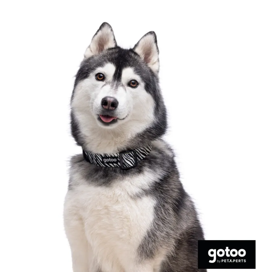 Gotoo Coleira estampada zebra para cães