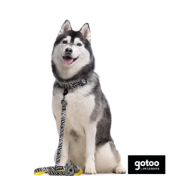 Gotoo Coleira estampada zebra para cães
