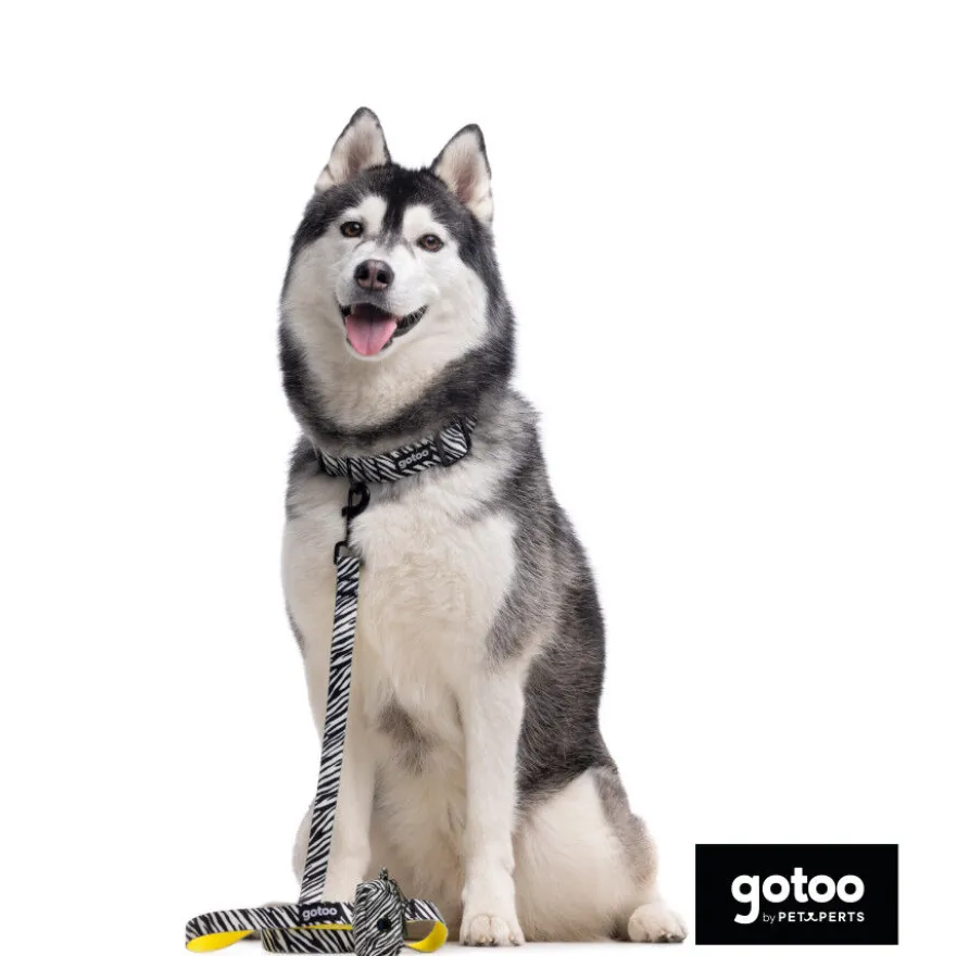 Gotoo Coleira estampada zebra para cães