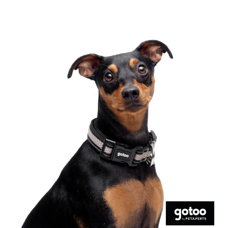 Gotoo Coleira mesh cinza para cães