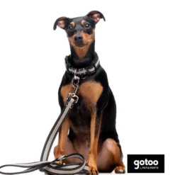 Gotoo Coleira mesh cinza para cães