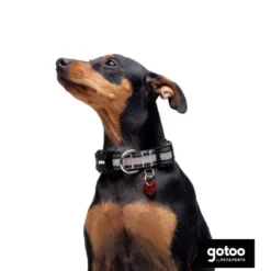 Gotoo Coleira mesh cinza para cães