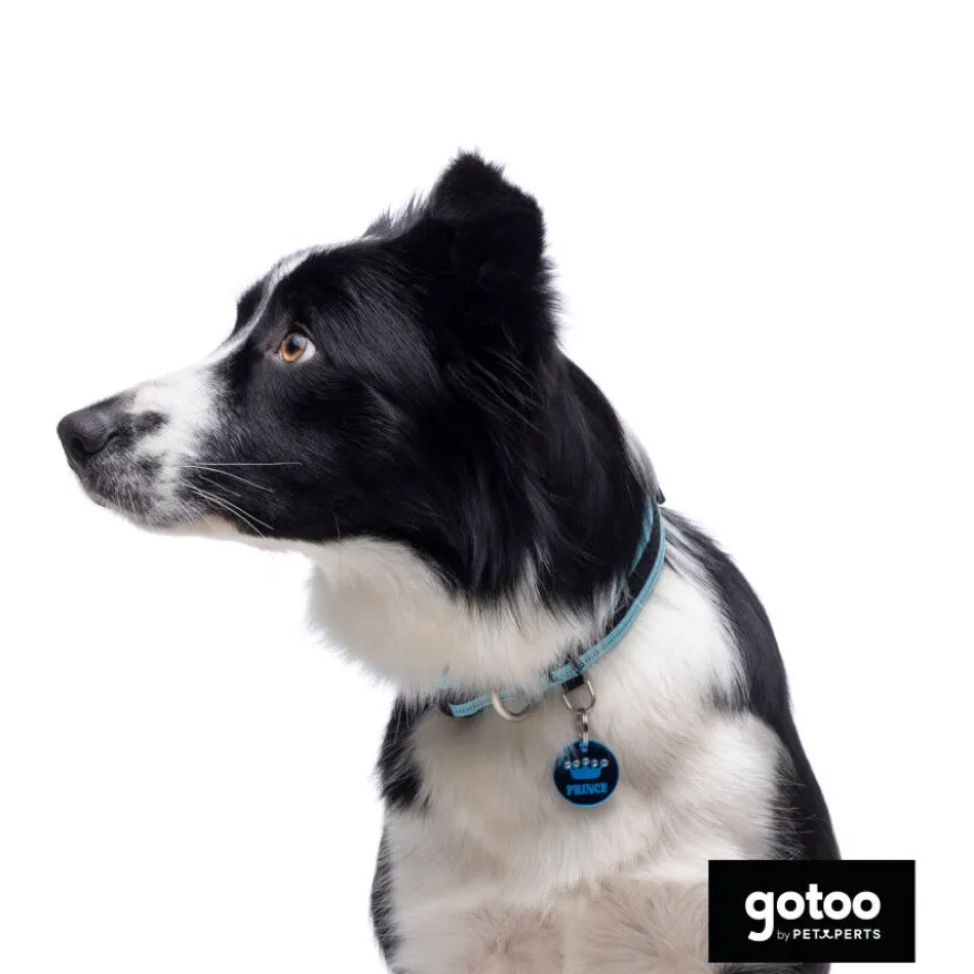 Gotoo Coleira mesh turquesa para cães