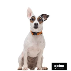 Gotoo Coleira refletora de nylon laranja para cães