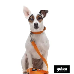 Gotoo Coleira refletora de nylon laranja para cães