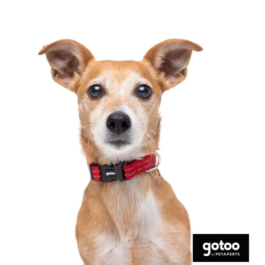 Gotoo Coleira reflexiva de nylon vermelha para cães